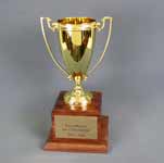 This is a image of a gold tone metal loving cup on a walnut cube base