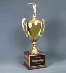 This is a italian style cup set on a FB cube base configured as a perpetual golf tournament award